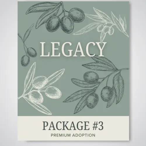 Package #3 - LEGACY - More Than Memory, A Living Story